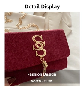Detailed macro view of the gold double-S metal clasp with tassel on burgundy suede bag