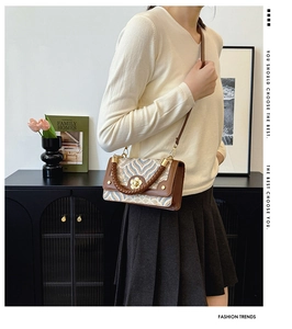 Sac à main rétro avec serrure fleur dorée et poignée tissée porté à l'épaule sur un mannequin