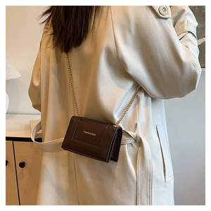 Detail of a dark brown mini chain bag with gold metal hardware and fashion text