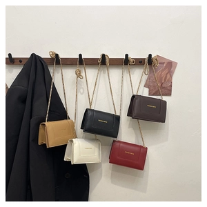 Detailed collection of mini crossbody chain bags in khaki, black, white, red, and brown