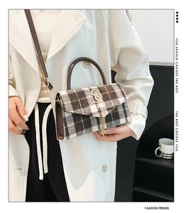 Detail of crossbody bag featuring houndstooth pattern and golden S-shaped buckle