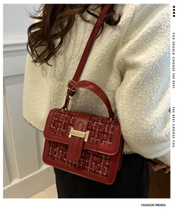 Close-up of red tweed handbag with gold H-buckle and adjustable leather strap on model