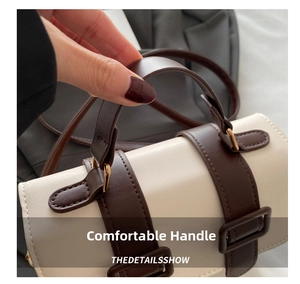 Close-up of the comfortable handle and vintage buckle on the two-tone square bag