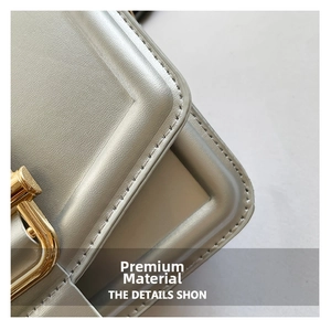 Gros plan sur la texture du cuir et la boucle dorée d'un sac à main gris chic