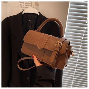 Detailed view of the brown leather mini crossbody bag with gold buckle and top handle