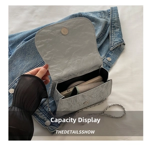 Internal view of silver chain bag capacity showing phone and makeup inside
