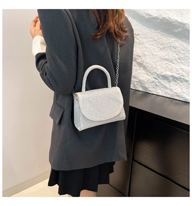 Chic silver rhinestone handbag with metallic chain shown on a stylish crossbody model