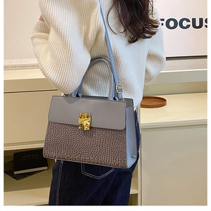 Detail view of two-tone gray handbag with crocodile pattern and golden metal lock clasp