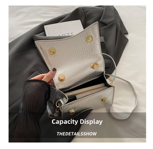 Detail of silver crocodile texture mini bag with gold buckle and daily capacity view
