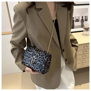 Detailed view of leopard print texture and golden U-shaped clasp on small crossbody bag