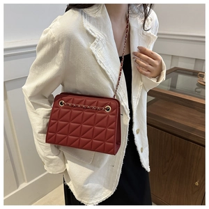 Chic red quilted crossbody bag with gold chain strap shown on model for daily commute