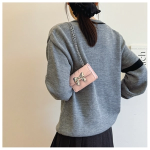 Gros plan d'un mini sac rose avec un fermoir papillon argenté et une bandoulière chaîne