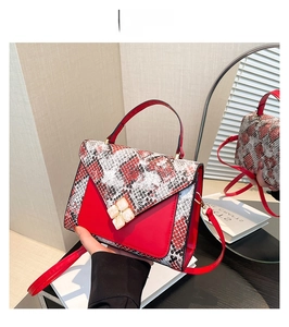 Detail of red and snakeskin pattern拼接 crossbody bag with golden flower lock