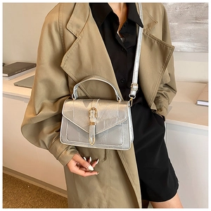 Detailed view of silver rectangular handbag featuring metallic leather and golden buckle