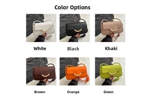 Color display of minimalist square shoulder bags with golden horseshoe metal buckles