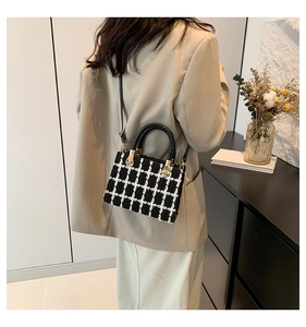 Model side view of a black and white tweed crossbody bag with gold hardware and woven handle