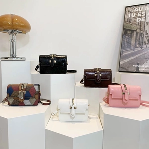 Chic women's crossbody square bags in multiple colors with metallic clasp closure
