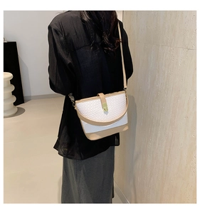 Detail of color-block bucket bag featuring snakeskin texture and golden metal lock