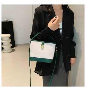 Detail of green and white bucket bag featuring crocodile pattern and gold twist lock