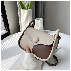 Close-up of minimalist bicolor crossbody bag with vintage buckle and fine piping details