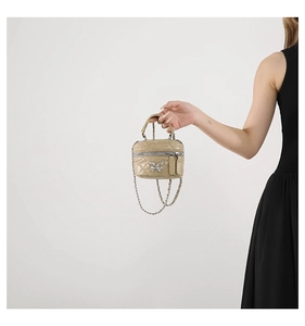 Detailed shot of beige quilted vanity bag featuring silver chain and butterfly hardware
