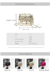 Size chart showing 19.5x15x6cm dimensions and specs for the sequin chain crossbody bag