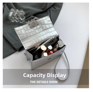 Silver crocodile texture small square bag capacity display with daily essentials