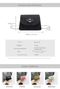 Detailed size specifications and color options for the mini crossbody chain bag