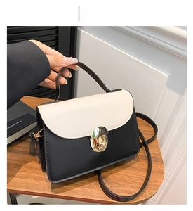 Detail showing white and black contrast square bag with golden metallic lock on wooden desk