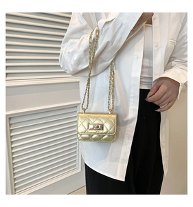 Close-up of gold chain strap and quilted mini bag with metallic twist lock detail