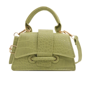 Fashionable light green crocodile texture mini crossbody bag with gold hardware for women