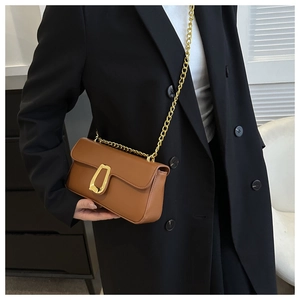 Close-up of brown crossbody bag featuring a gold horseshoe clasp and chain strap