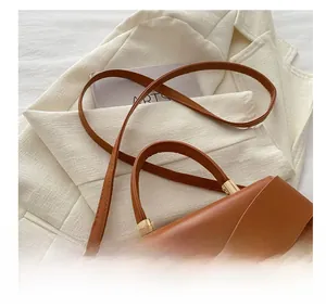 Detail of a brown leather crossbody bag with iconic gold D-buckle on tweed fabric
