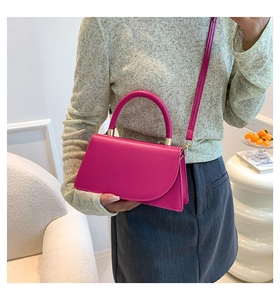 Borsa quadrata rosa alla moda con fibbia dorata mostrata in un ambiente interno moderno