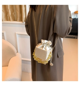 Detail showing the off-white pleated bucket bag with gold chain and drawstring closure