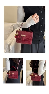 Close-up of red stone texture handbag with gold H buckle and cherry charm detail