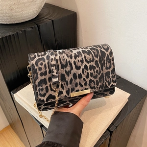 Minimalist leopard print crossbody bag with gold chain strap and metallic closure