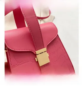 Vue détaillée du sac à main rouge rose en cuir gaufré crocodile avec boucle dorée