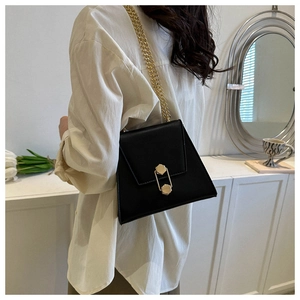 Detail view of the elegant gold hexagonal clasp and chain on a black trapezoid bag