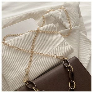 Detail of minimalist brown crossbody bag with chunky resin and gold chain straps
