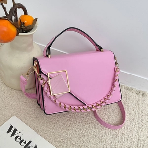 Pink minimalist crossbody bag with gold chain trim and square metal clasp detail