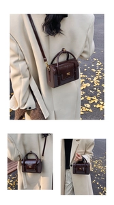 Deep brown leather crossbody bag shown in autumn street style with ginkgo leaf background