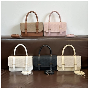 Collection of chic square handbags in five neutral colors with elegant gold buckles