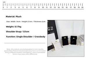 Detailed size specifications for plush crossbody bag with dimensions and gold chain strap
