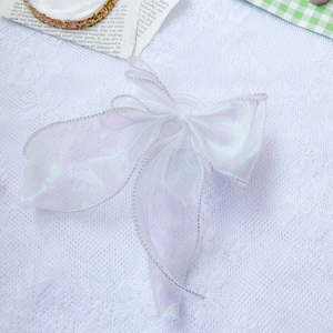 Macro shot of iridescent white organza lace bow with silver stitching on a white background