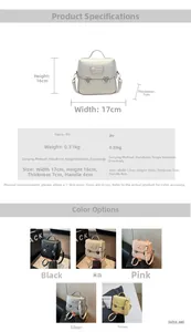Spécifications détaillées de taille pour mini sac carré minimaliste en plusieurs coloris