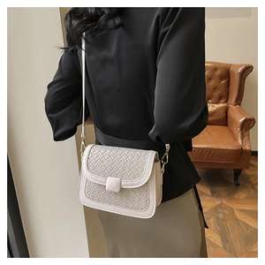 Detailed close-up showing the woven texture and golden clasp on this beige crossbody bag