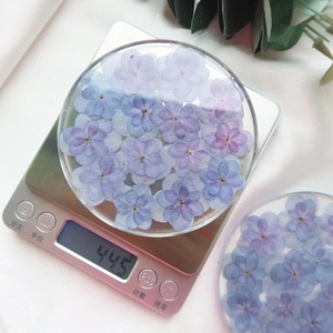 Macro detail of a round resin coaster with real dried flowers weighing approx 44.5 grams