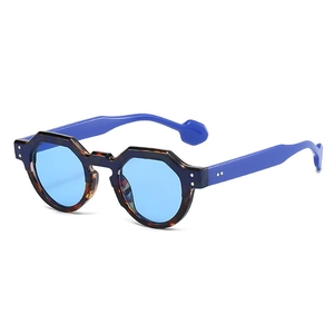 Retro Irregular Geometric Sunglasses PC Frame UV400 Protection Fashion Casual Outdoor Eyewear Street Style Unisex