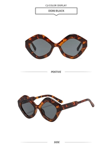 Detail view of demi polygon sunglasses featuring a vintage geometric frame and dark lenses